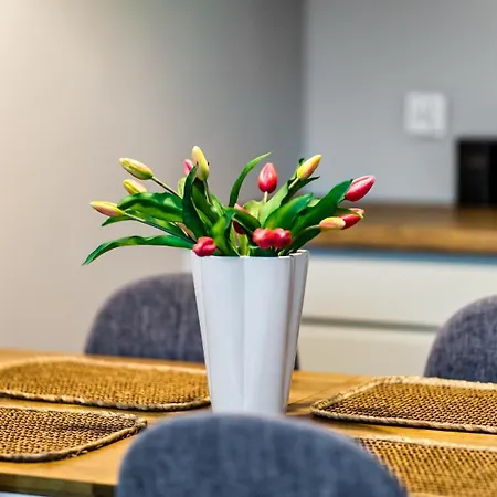 Piamola Ze Strefa Sportowa I Grillem Янтар