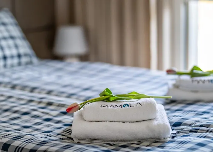 Piamola Ze Strefa Sportowa I Grillem Daire *